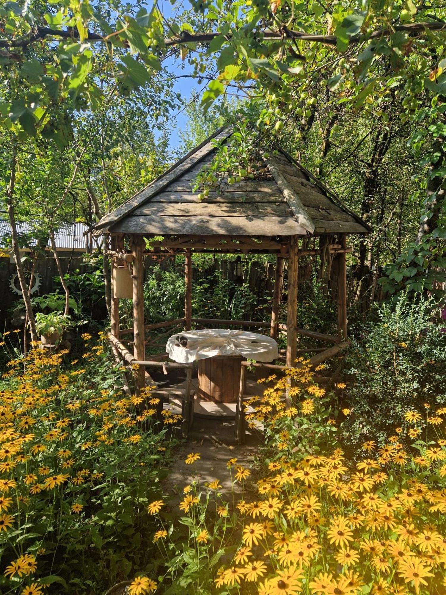 Guest House "Svaneti" Lentekhi Екстериор снимка