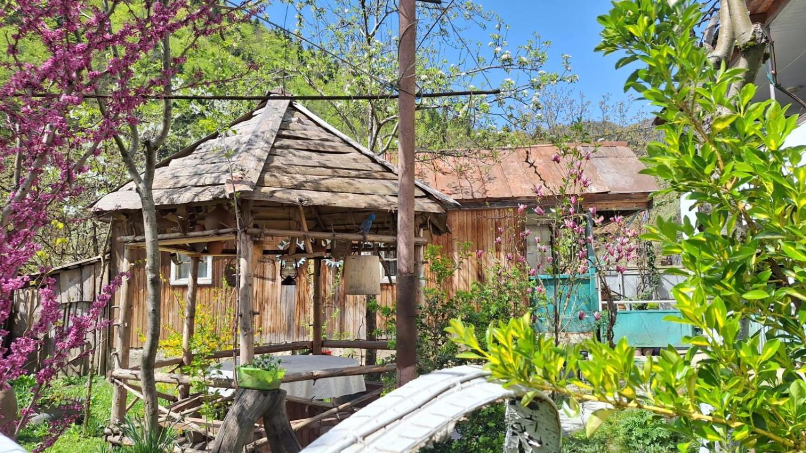 Guest House "Svaneti" Lentekhi Екстериор снимка