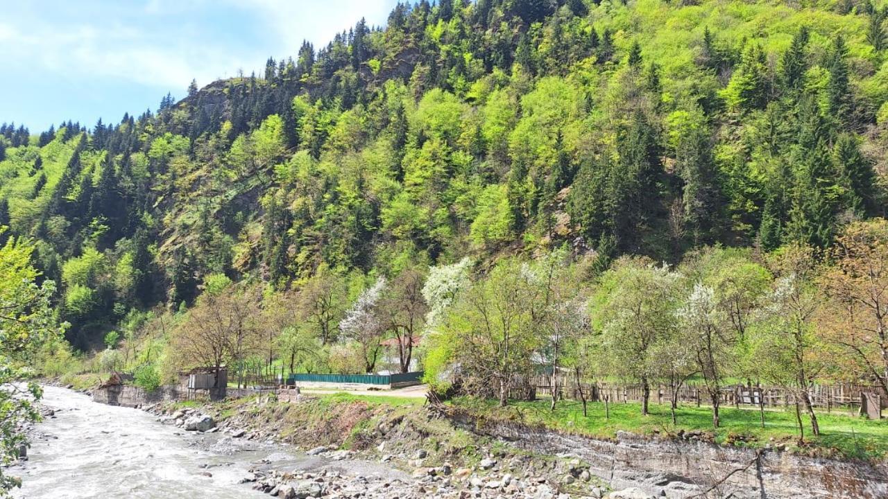 Guest House "Svaneti" Lentekhi Екстериор снимка
