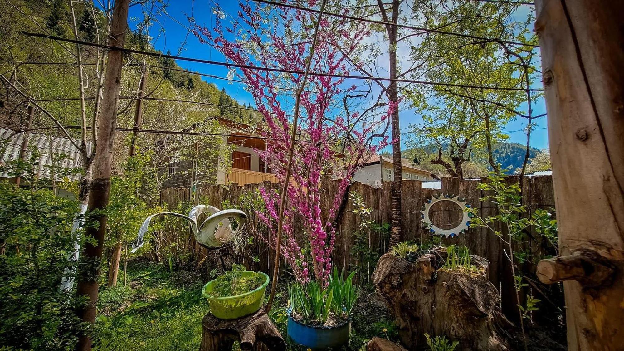 Guest House "Svaneti" Lentekhi Екстериор снимка